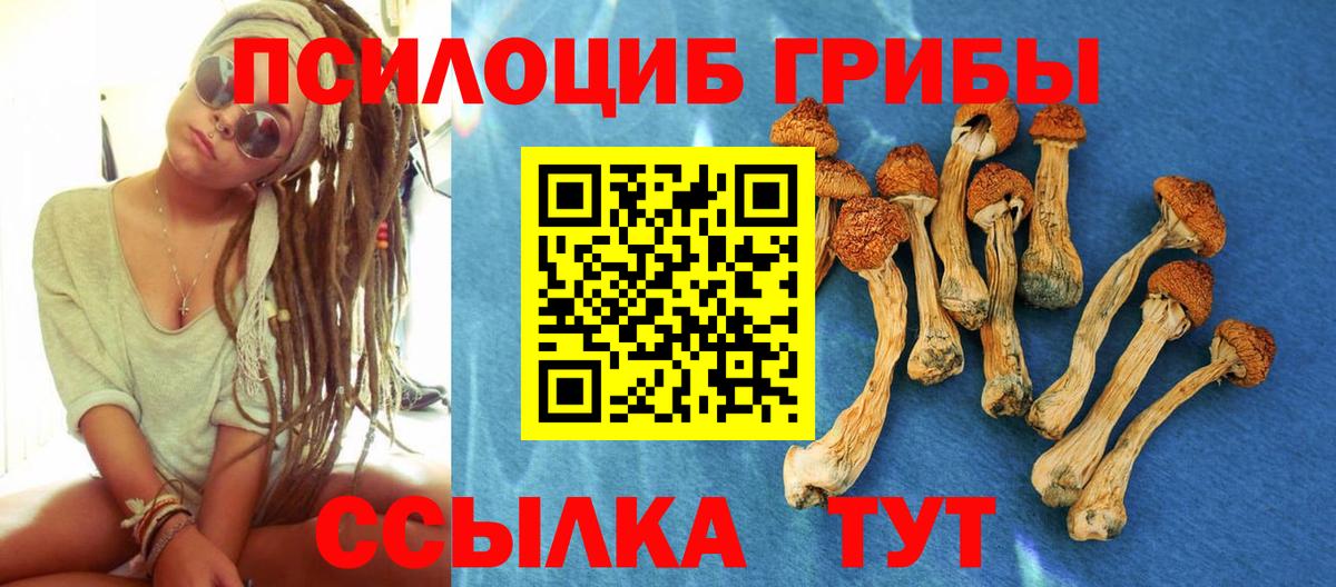 Светлоград  Галлюциногенные грибы Psilocybine cubensis  Галлюциногенные грибы мицелий  Вход с VPN 
