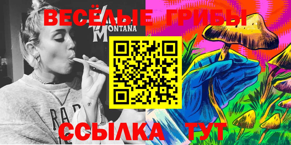 Галлюциногенные грибы GOLDEN TEACHER Светлоград